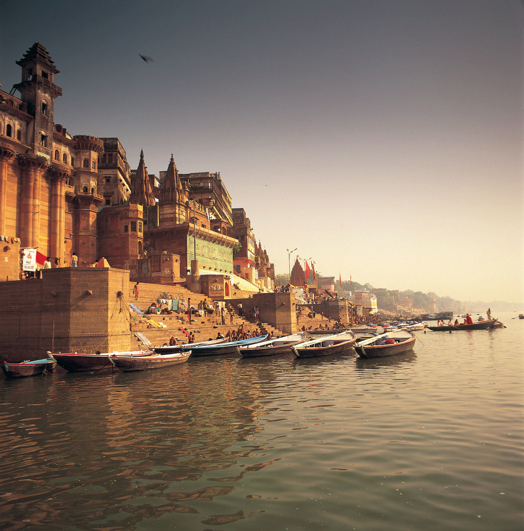 Taj Ganges Varanasi Servis gambar